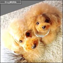 にほんブログ村 犬ブログ 犬 ２頭飼いへ