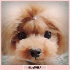 にほんブログ村 犬ブログ 犬 ２頭飼いへ