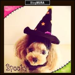 にほんブログ村 犬ブログ 犬 ２頭飼いへ