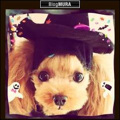 にほんブログ村 犬ブログ 犬 ２頭飼いへ