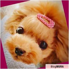 にほんブログ村 犬ブログ 犬 ２頭飼いへ