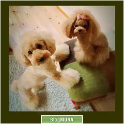 にほんブログ村 犬ブログ 犬 ２頭飼いへ