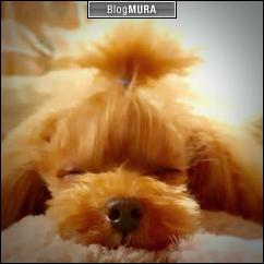 にほんブログ村 犬ブログ 犬 ２頭飼いへ