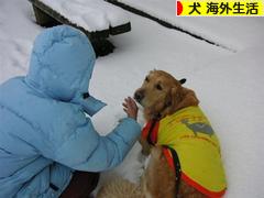 にほんブログ村 犬ブログ 犬 海外生活へ