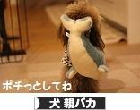 にほんブログ村 犬ブログ 犬 親バカへ