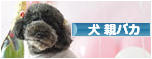 にほんブログ村 犬ブログ 犬 親バカへ