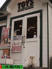 にほんブログ村 犬ブログ 犬 親バカへ