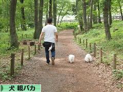 にほんブログ村 犬ブログ 犬 親バカへ