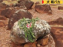 にほんブログ村 犬ブログ 犬 親バカへ