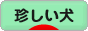 にほんブログ村 犬ブログ 珍しい犬へ