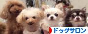 にほんブログ村 犬ブログ ドッグサロンへ