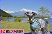 にほんブログ村 犬ブログ 犬 お出かけ・お散歩へ