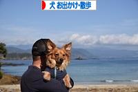にほんブログ村 犬ブログ 犬 お出かけ・お散歩へ