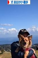 にほんブログ村 犬ブログ 犬 お出かけ・お散歩へ