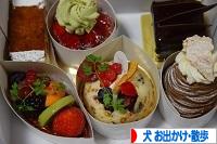 にほんブログ村 犬ブログ 犬 お出かけ・お散歩へ