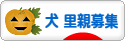 にほんブログ村 犬ブログ 犬 里親募集へ