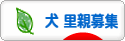 にほんブログ村 犬ブログ 犬 里親募集へ