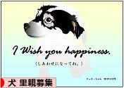 にほんブログ村 犬ブログ 犬 里親募集へ