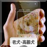 にほんブログ村 犬ブログ 老犬・高齢犬へ