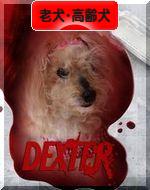 にほんブログ村 犬ブログ 老犬・高齢犬へ