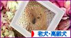 にほんブログ村 犬ブログ 老犬・高齢犬へ