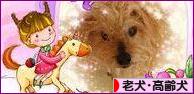 にほんブログ村 犬ブログ 老犬・高齢犬へ