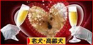 にほんブログ村 犬ブログ 老犬・高齢犬へ