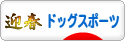 にほんブログ村 犬ブログ ドッグスポーツへ