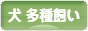 にほんブログ村 犬ブログ 犬 多種飼い（多犬種飼い）へ