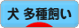 にほんブログ村 犬ブログ 犬 多種飼い（多犬種飼い）へ