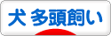 にほんブログ村 犬ブログ 犬 多頭飼いへ