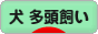 にほんブログ村 犬ブログ 犬 多頭飼いへ