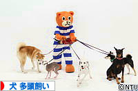 にほんブログ村 犬ブログ 犬 多頭飼いへ