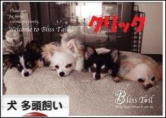 にほんブログ村 犬ブログ 犬 多頭飼いへ