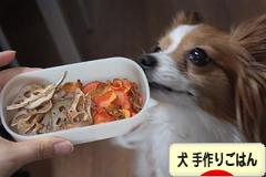 にほんブログ村 犬ブログ 犬 手作りごはんへ