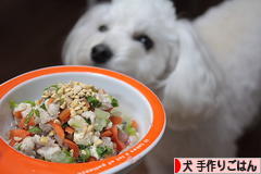 にほんブログ村 犬ブログ 犬 手作りごはんへ