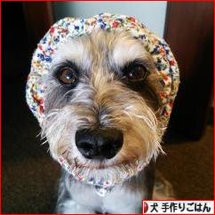 にほんブログ村 犬ブログ 犬 手作りごはんへ