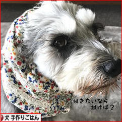 にほんブログ村 犬ブログ 犬 手作りごはんへ