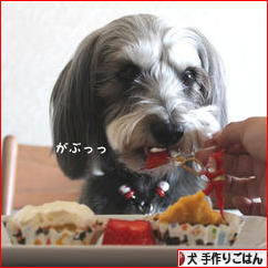 にほんブログ村 犬ブログ 犬 手作りごはんへ