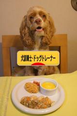 にほんブログ村 犬ブログ 犬 訓練士・ドッグトレーナーへ