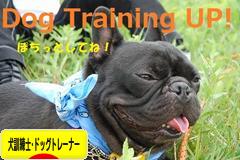 にほんブログ村 犬ブログ 犬 訓練士・ドッグトレーナーへ