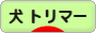 にほんブログ村 犬ブログ 犬 トリマーへ