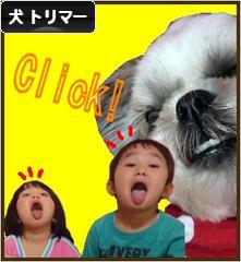 にほんブログ村 犬ブログ 犬 トリマーへ