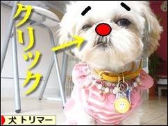 にほんブログ村 犬ブログ 犬 トリマーへ