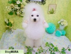 にほんブログ村 犬ブログ 犬 トリマーへ