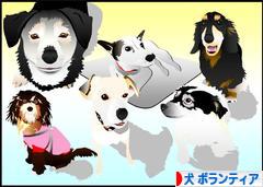 にほんブログ村 犬ブログ 犬 ボランティアへ