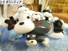 にほんブログ村 犬ブログ 犬 ボランティアへ