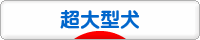 にほんブログ村 犬ブログ 超大型犬へ