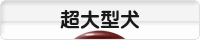 にほんブログ村 犬ブログ 超大型犬へ