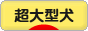 にほんブログ村 犬ブログ 超大型犬へ